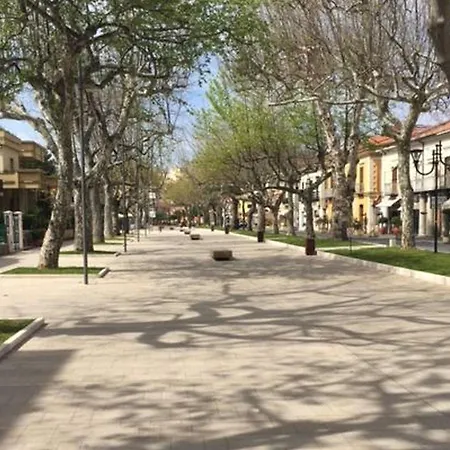 Rex Bed&business * Praia a Mare