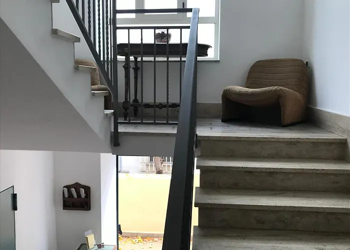 Pensjonat Rex Bed & Business